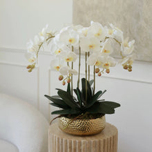 Load image into Gallery viewer, VICKY YAO Design - Best selling Luxury Natural Touch White 6 Stems Phalaenopsis Orchid Arrangement with Real Preserved Moss for Home &amp; Office Decor