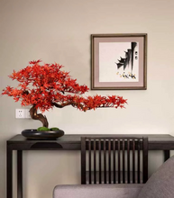 Laden Sie das Bild in den Galerie-Viewer, VICKY YAO Design Aesthetic - June New Arrival Exclusive Design Handmade Japanese Style Red Maple Bonsai Art 60L x 22W x 40cm H