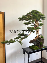 將圖片載入圖庫檢視器 VICKY YAO - Exclusive One-of-a-Kind Realistic Bonsai with Limited Edition Artistic Stone 130x100 H