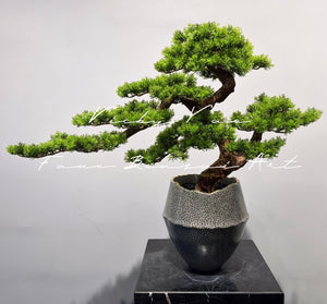 VICKY YAO Design Aesthetic - Exclusive Design Realistic Luxury Restaurant Faux Bonsai Art 78x68cmH