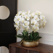 Load image into Gallery viewer, VICKY YAO Design - Best selling Luxury Natural Touch White 6 Stems Phalaenopsis Orchid Arrangement with Real Preserved Moss for Home &amp; Office Decor