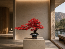 Laden Sie das Bild in den Galerie-Viewer, VICKY YAO Design Aesthetic -  New Arrival Exclusive Design Handmade Japanese Style Red Maple Bonsai Art L55xW22xH38cm