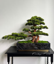 Load image into Gallery viewer, VICKY YAO Fine Bonsai - Realistic Hotel Style Bonsai Art with Marble Base