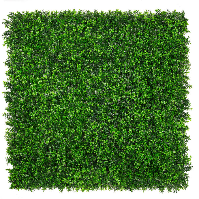 VICKY YAO - Artificial Green Wall Classic Boxwood  100cm X 100cm UV Resistant