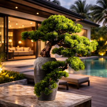 Laden Sie das Bild in den Galerie-Viewer, VICKY YAO Design Aesthetic - Exclusive Design Handmade Natural Artificial Bonsai Arrangement 58cm H Gift For Him