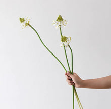 將圖片載入圖庫檢視器 VICKY YAO-Set of 3 Chinese Sweet Plum Branches+ 3 Realistic Touch Green Ball Stems.Artificial Greenery Home Decor Faux Greenery Without Vase