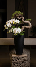 画像をギャラリービューアに読み込む, VICKY YAO - Exclusive Design Luxury Bespoke Bonsai &amp; Floral Art Arrangement – Exclusive Design Botanical Sculpture for Interiors