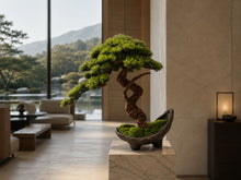 Laden Sie das Bild in den Galerie-Viewer, VICKY YAO-Artificial Bonsai Tree in Half-Moon Pot ｜Zen Decor for Home or Office | Japanese Style Faux Pine Tree with Moss L55xW25xH50cm