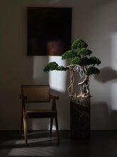 Load image into Gallery viewer, VICKY YAO Fine Bonsai - Exclusive Design Realistic Vine Bonsai Art Tree  96x45x88cmH