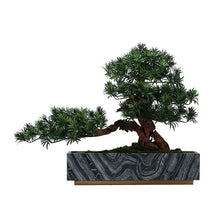 Load image into Gallery viewer, VICKY YAO Fine Bonsai - Realistic Hotel Style Bonsai Art with Marble Base