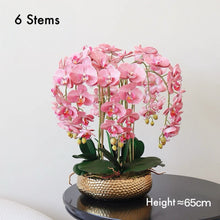 Load image into Gallery viewer, VICKY YAO - Lifelike Luxury Natural Touch Pink Phalaenopsis Orchid Arrangement with Preserved Moss for Home &amp; Office Decor