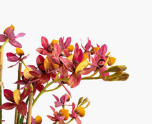 將圖片載入圖庫檢視器 VICKY YAO - Artificial Cymbidium Orchid Arrangement Realistic Pink &amp; Orange Faux Flowers in White Pot Modern Home Decor Centerpiece