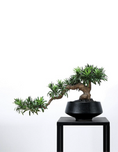 画像をギャラリービューアに読み込む, VICKY YAO Design Aesthetic - Mini Realistic Buddha Pine Bonsai 47x15x28cm