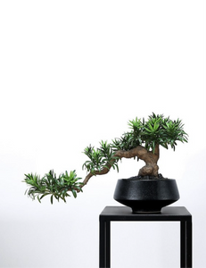 VICKY YAO Design Aesthetic - Mini Realistic Buddha Pine Bonsai 47x15x28cm