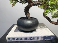 Load image into Gallery viewer, VICKY YAO Faux Plant - Exclusive Design Artificial Bonsai Arrangement