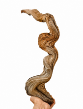 Load image into Gallery viewer, VICKY YAO-Bespoke Artificial Bonsai Art Crafted from Thousand-Year-Old Cliff Juniper