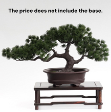 將圖片載入圖庫檢視器 VICKY YAO-Artificial Bonsai Tree Realistic Tall. Ceramic Pot Fake Plants Zen Faux Home Office Desk Shelf Living room Japanese W35 x H20cm
