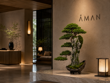 Load image into Gallery viewer, VICKY YAO Fine Bonsai - Roots Over Rock Bonsai Art Sculpture, Realistic Japanese Bonsai Tree, Preserved Moss, Luxury Zen Home &amp; Hotel Decor
