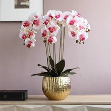 Load image into Gallery viewer, VICKY YAO Luxury Realistic Real Touch Orchid Arrangement in Gold Pot