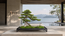 Load image into Gallery viewer, VICK YAO - Luxury Hotel Bonsai Art | Aman-Inspired Zen Interior Sculpture
L71 x D25-30cm x H46cm