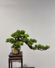 Laden Sie das Bild in den Galerie-Viewer, VICKY YAO Fine Bonsai- Exclusive Design Enamel Craft Basic Faux Bonsai Art L35xW14xH20cm