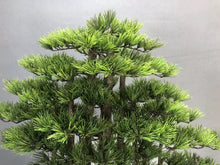 画像をギャラリービューアに読み込む, VICKY YAO Fine Bonsai - Handcrafted Bonsai Tree Sculpture Artificial Bonsai with Natural Wood Base Preserved Moss Zen Decor L65xW30xH66cm