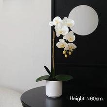 Load image into Gallery viewer, VICKY YAO Faux Floral- Natural Touch Artificial Orchid 1 Stem Flower Arrangement White Pot