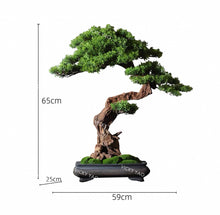 將圖片載入圖庫檢視器 VICKY YAO Bonsai Art - Limited Edition Unique Realistic Zen Bonsai Art L59xW25xH65cm