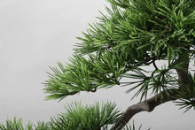 Load image into Gallery viewer, VICKY YAO-Artificial Bonsai Tree Japanese Style Bonsai Faux Pine Tree Zen Garden Decor Home Decor Indoor Sculpture Plant L60xW25xH50