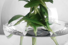 画像をギャラリービューアに読み込む, VICKY YAO Design Aesthetic - Exclusively Designed Green Real Touch Dianthus Arrangement with Lifelike Texture