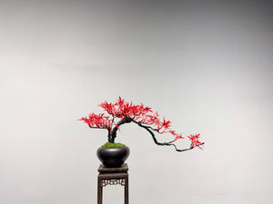 VICKY YAO Design Aesthetic - Handmade Red artificial maple leaf in Realistic Pot Bonsai Art L45xW20xH22cm