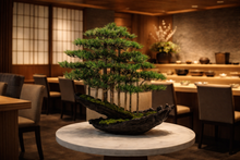 Load image into Gallery viewer, VICKY YAO - Fine Art Forest Bonsai Sculpture ｜Artificial Bonsai Driftwood Style Japanese Zen Tree Arrangement – Luxury Home Decor
