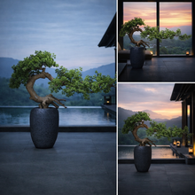 Laden Sie das Bild in den Galerie-Viewer, VICKY YAO Design Aesthetic - Exclusive Realistic Bonsai Art Design 100x80cmH