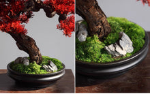 画像をギャラリービューアに読み込む, VICKY YAO - Red Maple Bonsai Tree Sculpture | Artificial Japanese Bonsai Decor | Zen Interior Art | L55×W23×H45cm