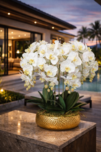 Load image into Gallery viewer, VICKY YAO Design - Best selling Luxury Natural Touch White 6 Stems Phalaenopsis Orchid Arrangement with Real Preserved Moss for Home &amp; Office Decor