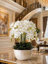 画像をギャラリービューアに読み込む, VICKY YAO Design -Bespoke Luxury Floral Design Elegant Shell-Finish Planter with 18 Stem Real Touch Orchid Arrangement W55xH78cm