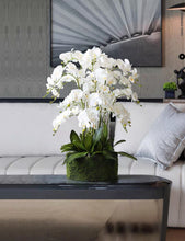 Laden Sie das Bild in den Galerie-Viewer, VICKY YAO Faux Floral - Handmade Super High Real Touch 19 stems Artificial Orchids Arrangement With Hard Mud Mortar Pot
