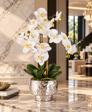 Laden Sie das Bild in den Galerie-Viewer, VICKY YAO Faux Floral - Artificial Phalaenopsis Orchid Arrangement In Silver Pot
