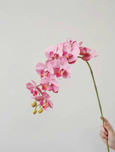 將圖片載入圖庫檢視器 VICKY YAO Faux Floral - A single stem of Phalaenopsis orchid with a realistic touch, available in different colors