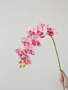 VICKY YAO Faux Floral - A single stem of Phalaenopsis orchid with a realistic touch, available in different colors