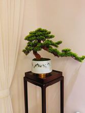 Laden Sie das Bild in den Galerie-Viewer, VICKY YAO Faux Plant - Exclusive Design Luxury Faux Green Bonsai Art