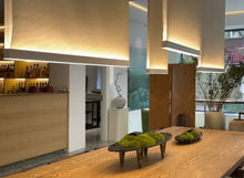 Load image into Gallery viewer, VICKY YAO  - Modern Zen Moss Centerpiece | Elevated Tabletop Landscape Art Japanese Inspired Table Decor Home &amp; Office Decor Wabisabi Design