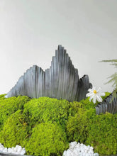 將圖片載入圖庫檢視器 VICKY YAO Design Aesthetic - Exclusive Design Handmade Preserved Moss Feng Shui Realistic Bonsai Art