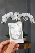 Load image into Gallery viewer, VICKY YAO Design - Best selling Luxury Natural Touch White 6 Stems Phalaenopsis Orchid Arrangement with Real Preserved Moss for Home &amp; Office Decor