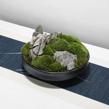 將圖片載入圖庫檢視器 VICKY YAO - Decorative Trays Black Moss Bowl Moss Gifts for Centerpiece Home Office Decor Custom Unique Gift Decorative Bowl Decor Gifts