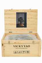 画像をギャラリービューアに読み込む, VICKY YAO Design - Limited Edition Bonsai Art Sculpture Handcrafted Realistic Pine Tree in Gold Planter  Zen Japanese Home Decor 68x38x62cm