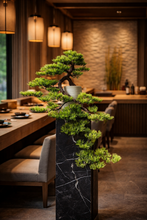Laden Sie das Bild in den Galerie-Viewer, VICKY YAO - Realistic Japanese Black Pine Bonsai – Handcrafted Faux Tree in Ceramic Pot