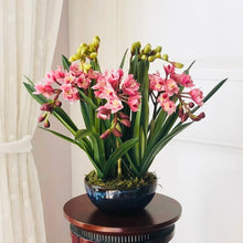 Load image into Gallery viewer, VICKY YAO Design Aesthetic - Exclusive Design Handmade Natural Touch Artificial Cymbidium Orchid Flower Arrangement