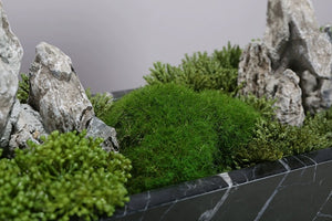 Vicky Yao Preserved Moss - Exclusive Design Handmade Preserved Moss Marble Arrangement