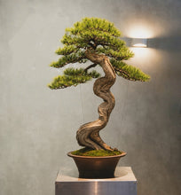 Load image into Gallery viewer, VICKY YAO-Bespoke Artificial Bonsai Art Crafted from Thousand-Year-Old Cliff Juniper